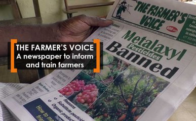 Cameroon's 'The Farmer’s Voice': Empowering Farmers with News and Training 📈