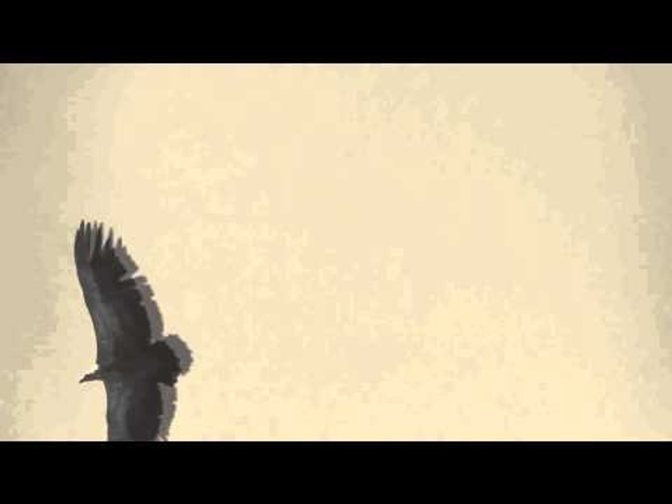 Utopians - Algo mejor (Lyric video)