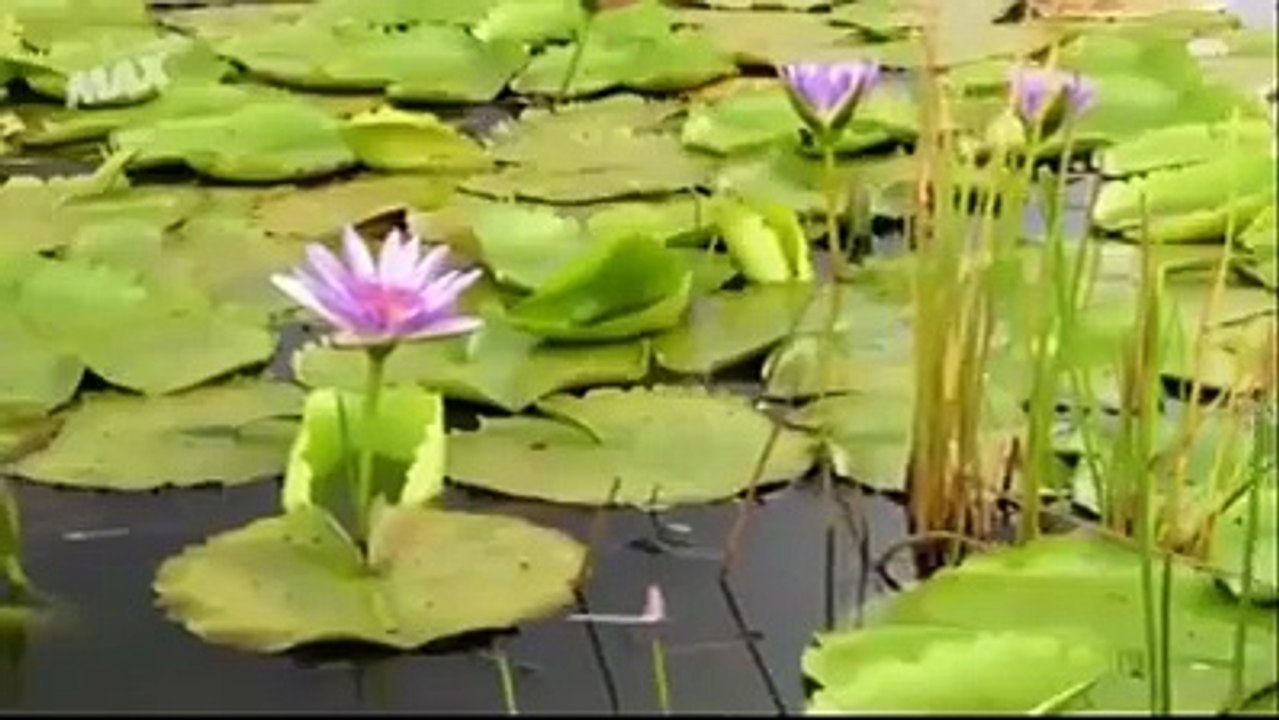 como se hace el pavimento de las pistas