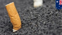 Jalanan dari Puntung rokok dapat memerangkap limbah beracun - TomoNews