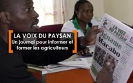Cameroun : Un journal pour informer et former les agriculteurs