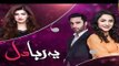 Yeh Raha Dil | Last Episode | HUM TV Drama | 21 August  2017