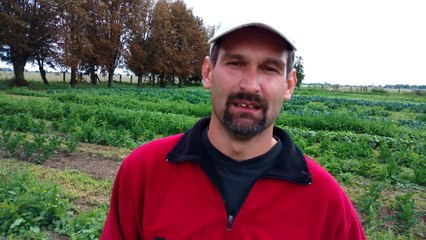 L'Aurore à Hannut se lance dans la culture maraîchère