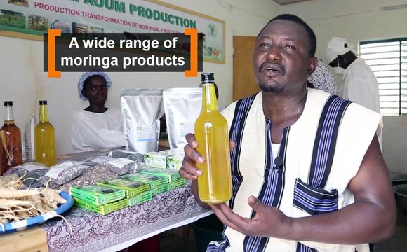 Burkina Faso: A wide range of moringa products