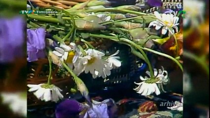 Maria Dragomiroiu - Asa trec zilele mele - arhiva TVR