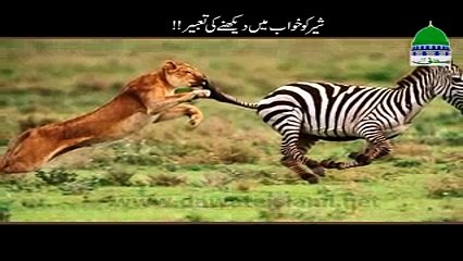 Khwab Main Sher Dekhnay Ki Tabeer