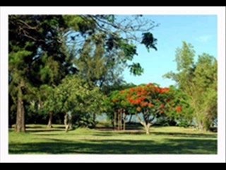 La reunion en photo & musique