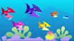 Origami Baby Shark! | Kids Songs | by Little Angel