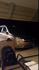 Un homme essaie de tuer un papillon de nuit en lui mettant une claque