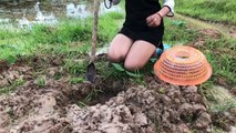 Creative Girl Deep Hole Fish Trap Using PVC And Plastic Basket To Catch A Lot of Fish