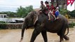 Gajah menyelamatkan ratusan orang dari banjir di Nepal - TomoNews