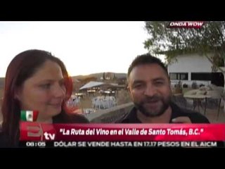 La Ruta del vino: Valle de Santo Tomás, BC / Onda wow