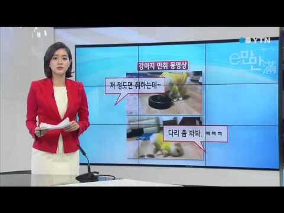 소주 먹여 '비틀비틀'…강아지 학대 논란 / YTN