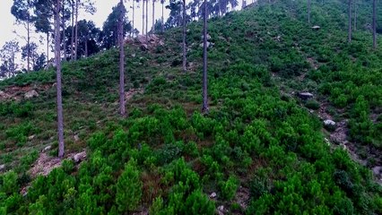 Clean KP, Green KP, Billion Tree Tsunami Update From Malakand Forests Region
