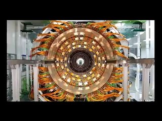 The Mandela Effect | Examples & Possible Explanation | Documentary