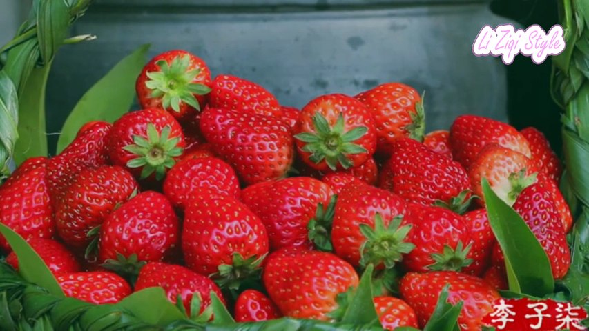 How to make Strawberry wine? Strawberries are very red and fresh at that time | [古香古食] Li Ziqi 李