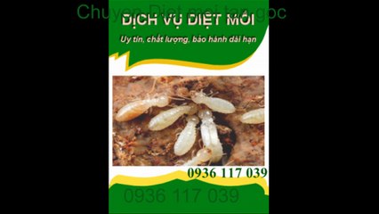 Diệt Mối Triệt Để Cho Nhà Máy, Xí Nghiệp tại sóng thần 1-0936 117 039