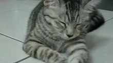 Dugoo_25.10.07
