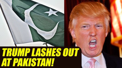 Donald Trump hits out at Pakistan for harboring terrorists | Oneindia News
