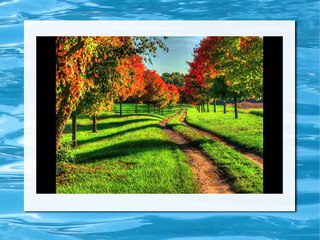 Cruise Carroll - Nature photography