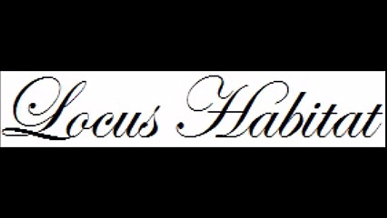 Leather Sofas - www.locushabitat.com