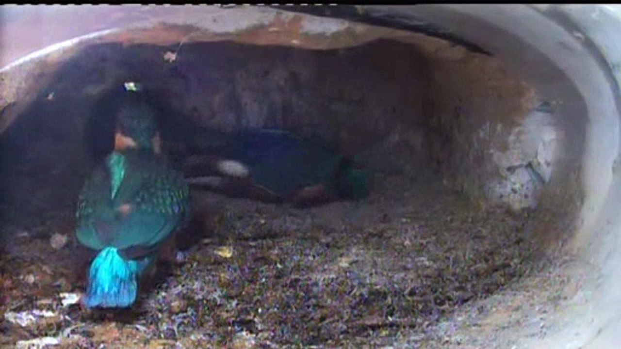 Live aus der Eisvogel Bruthoehle (3690)