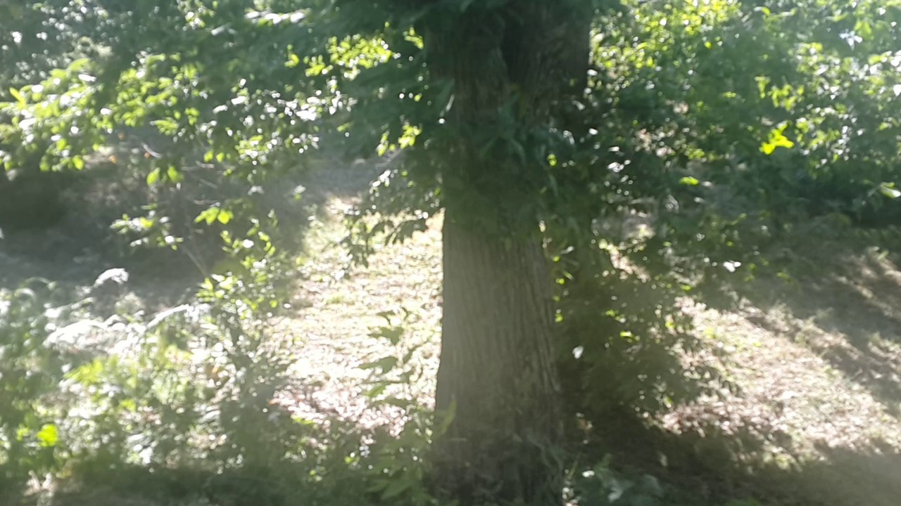 Sallanmak  Güzeldir.1