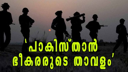 പാകിസ്താനെതിരെ ആഞ്ഞടിച്ച് അമേരിക്ക | Oneindia Malayalam