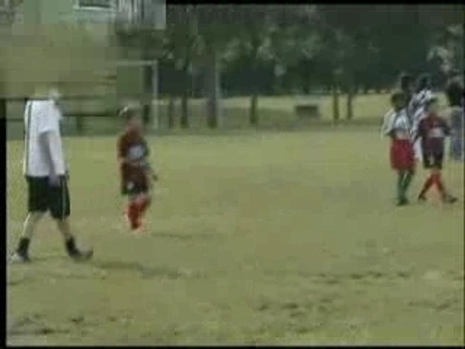 Ribery(mini-ribery)poussin