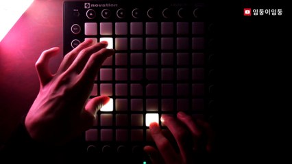 임둥이임둥 - 히로시의 회상(Launchpad cover)