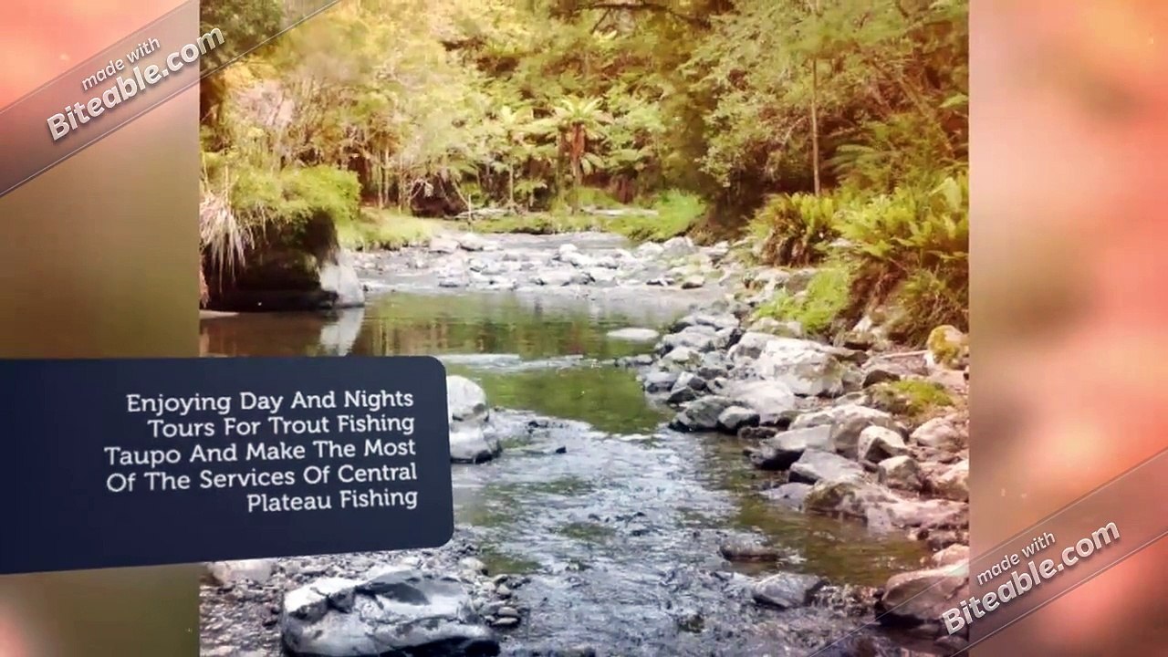Enjoying Day And Nights Tours For Trout Fishing @Taupo New Zealand