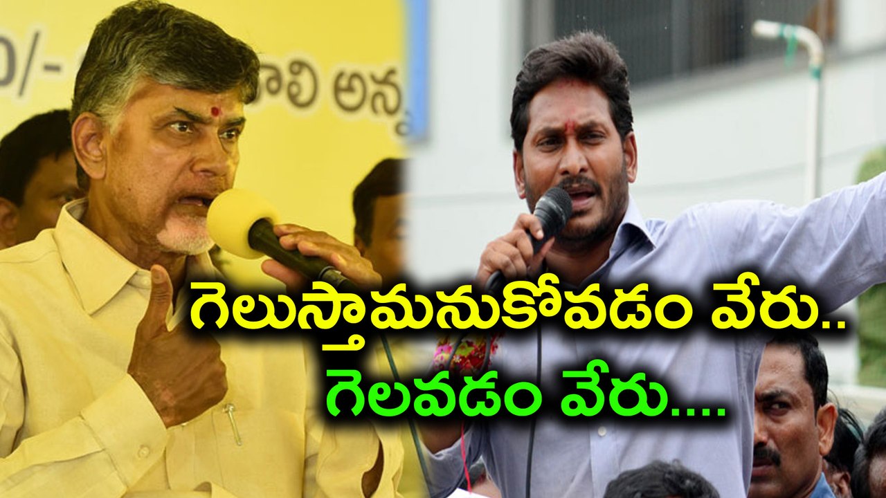 Kakinada Municipal Corporation Elections : Chandrababu Naidu Strategy Planning