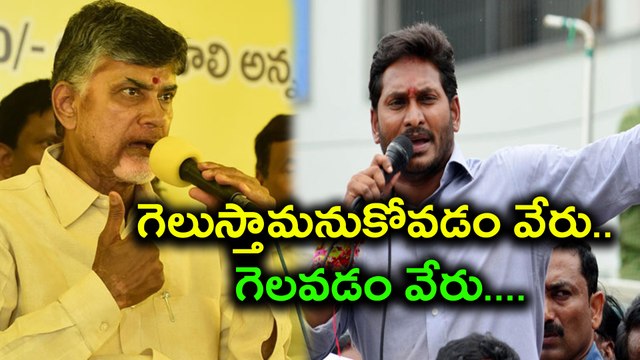 Kakinada Municipal Corporation Elections : Chandrababu Naidu Strategy Planning