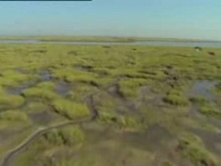 Venise et le vaisseau fantome