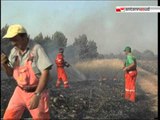 TG 20.08.12 Incendi, alla puglia la maglia nera