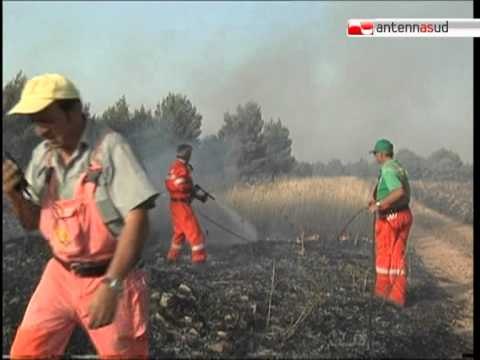 TG 20.08.12 Incendi, alla puglia la maglia nera