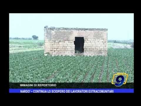 Nardò | Continua lo sciopero dei lavoratori extracomunitari