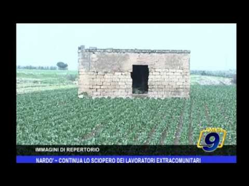 Nardò | Continua lo sciopero dei lavoratori extracomunitari