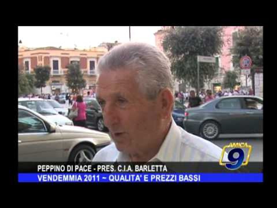 Vendemmia 2011 | Qualità e prezzi bassi