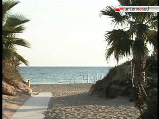 TG 10.09.12 Monopoli: 22enne muore ballando in discoteca