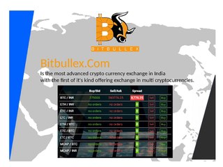 Bitbullex, Indian Cryptocurrency Exchange