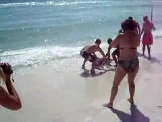 Florida, squalo preso a mani nude