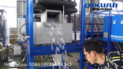 Focusun tube ice machine 10 ton per day water cooling