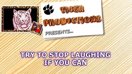 TRY NOT TO DIE from LAUGHING TOO HARD - Funniest ANIMAL compilation