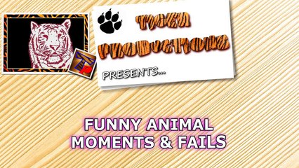 STOP LAUGHING IF YOU CAN - Extremely FUNNY ANIMAL compilation