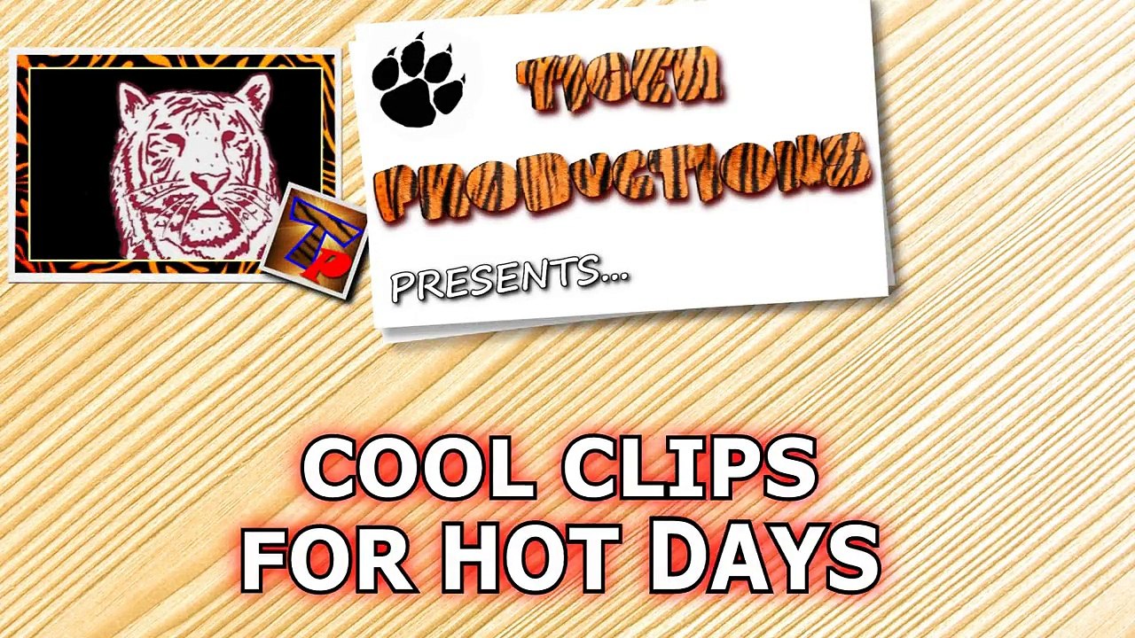 LAUGH SUPER HARD at these FUNNY ANIMALS & FAILS! Ultimate FUNNY ANIMAL & FAIL compilation