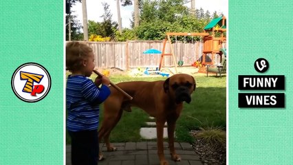 IMPOSSIBLE TRY TO STOP LAUGHING challenge - Super FUNNY BABY & ANIMAL VINE compilation