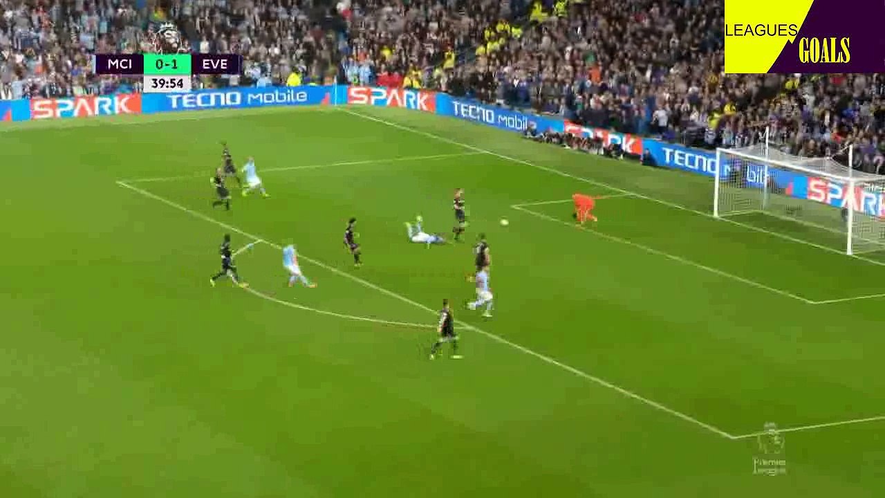 أهداف و ملخص مباراة مانشستر سيتي وإيفرتون بتاريخ 21-08-2017 الدوري الانجليزي