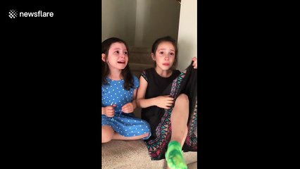 Kids have hilarious reaction to finding out their mum is pregnant