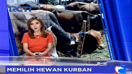 Hati-Hati, Dinas Peternakan Temukan Hewan Qurban yang Penyakitan dan Cacat